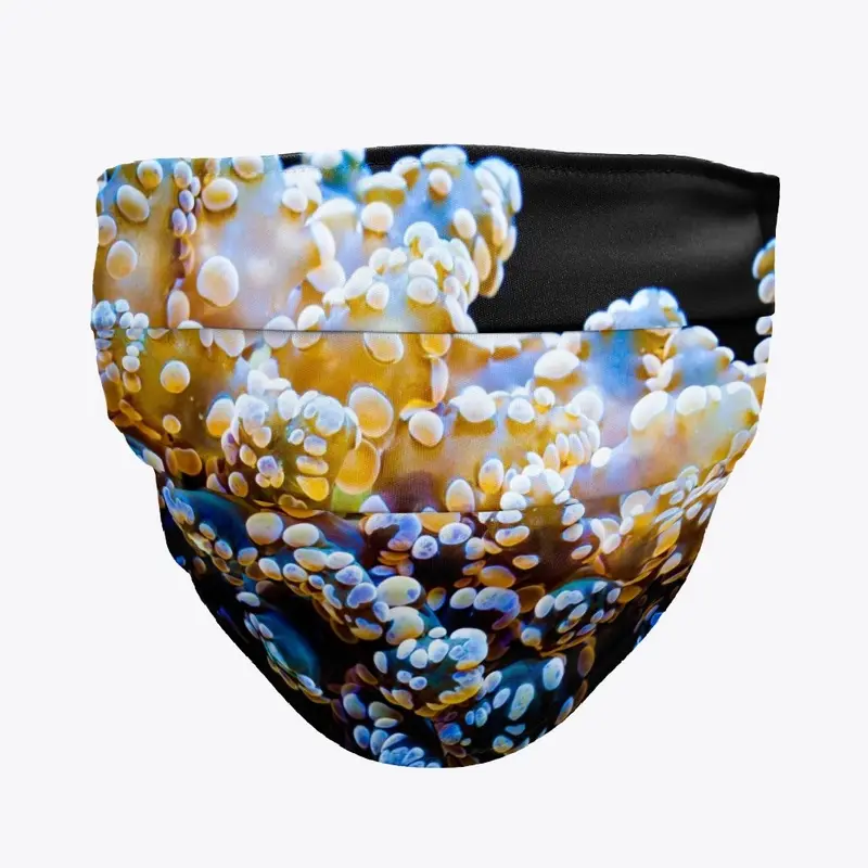 Frogspawn Coral Mask