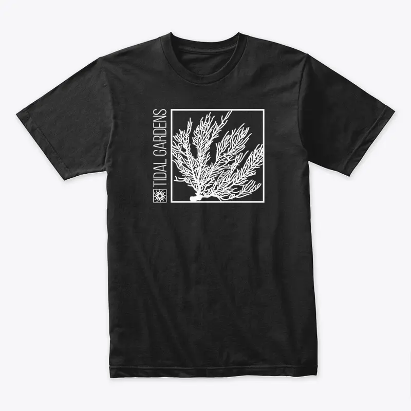 TG White Sea Fan