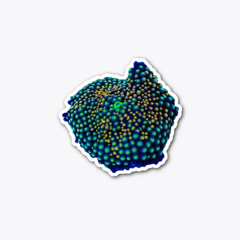 Ricordea Coral Sticker