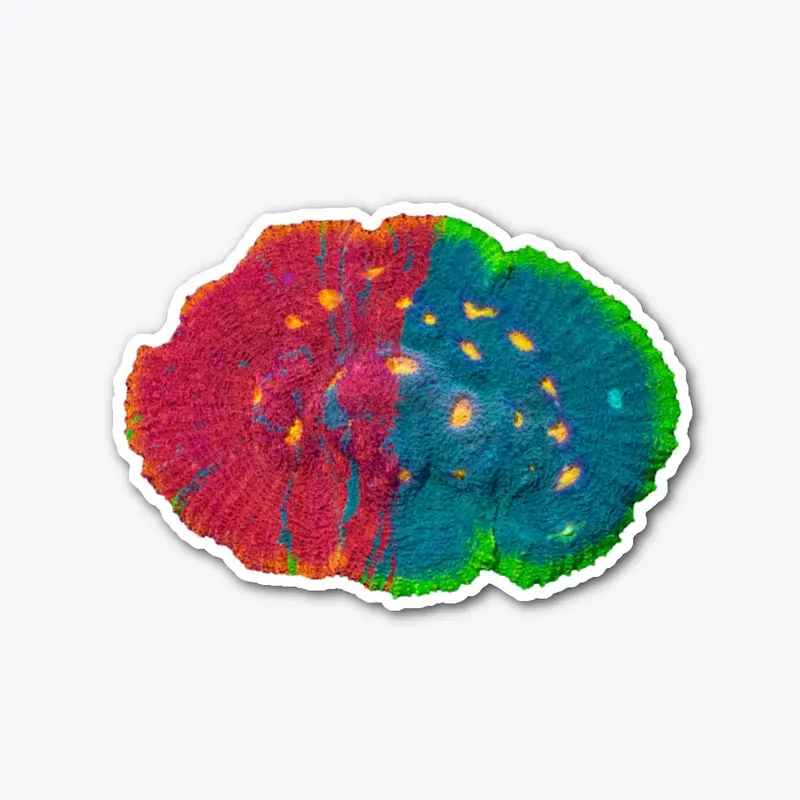 Chalice Coral Sticker